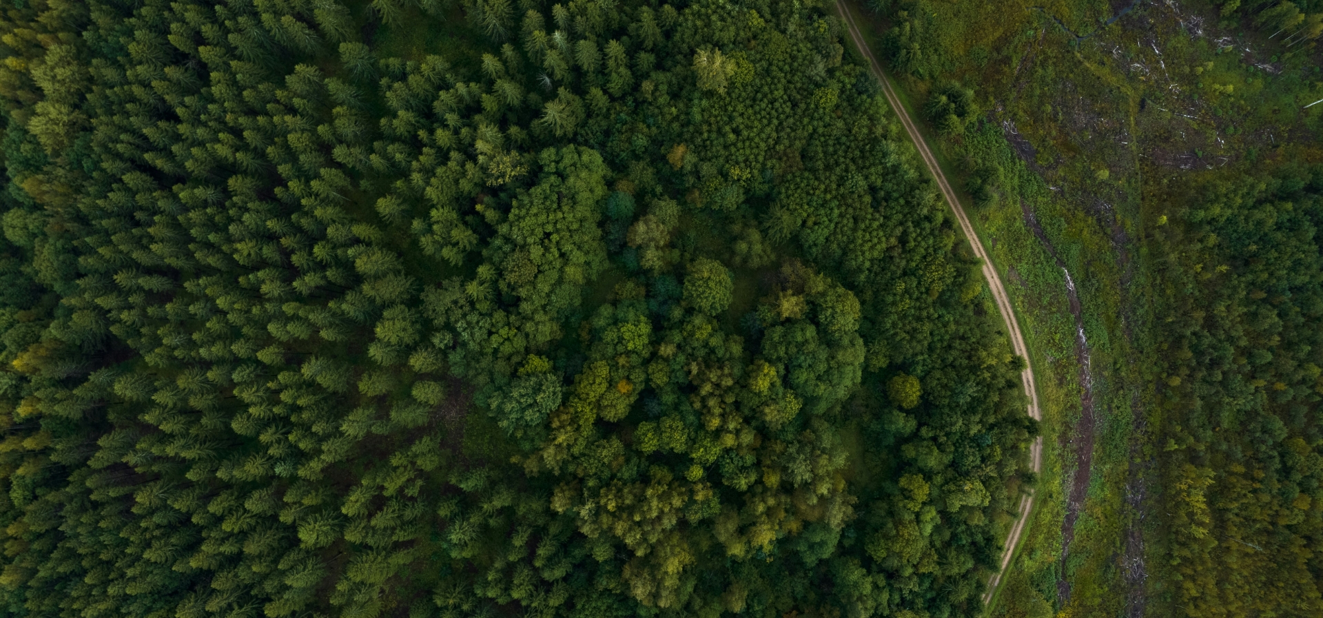 Photo aérienne terrrain dans le bois